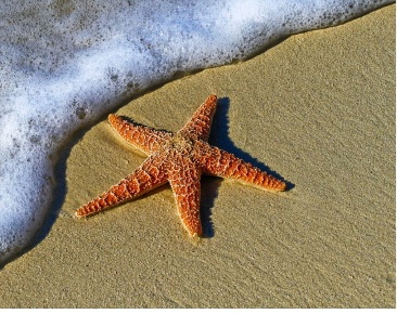 Foto Posti auto in Viale Amerigo Vespucci, Rimini Tripoli Mare di 20 m²