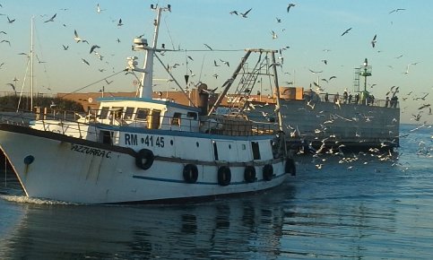 Foto Attività commerciale in Via Sigismondo 95, Rimini Centro Storico