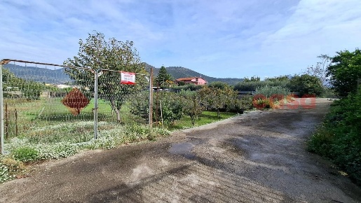 Foto Terreno agricolo in Via S.M A. Favore snc, Castel San Giorgio
