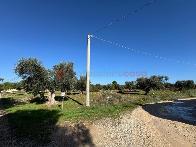 Foto Terreno agricolo in Via Degli Ulivi snc, Grottaglie di 6021 m²