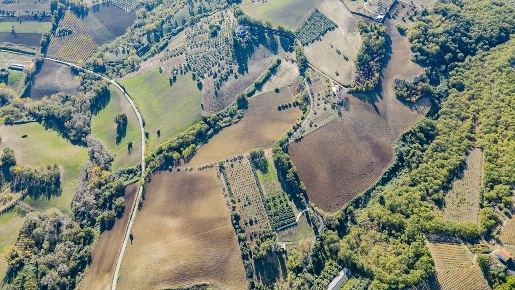 Foto Terreno agricolo in Contrada Pesaro Canale, Manoppello in vendita