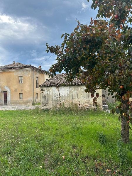 immagine annuncio 4 di 6