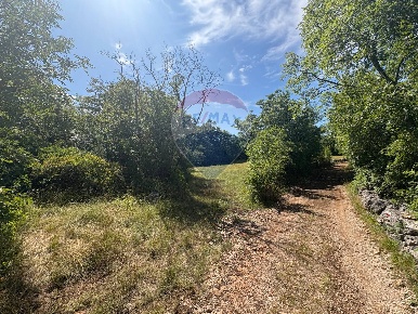 Foto Terreno agricolo in Località Sales, Sgonico Sales di 3610 m²