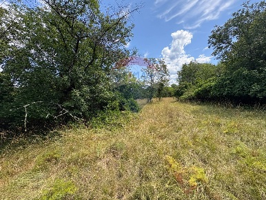 Foto Terreno agricolo in Localita' Santa Croce, Trieste Santa Croce