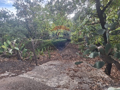 Foto Terreno agricolo in via v traversa c.da altarello, Belpasso Centro