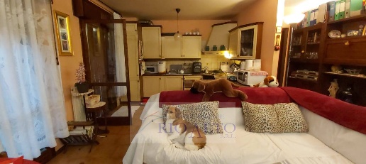 immagine annuncio 3 di 12