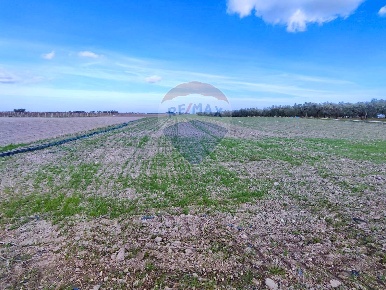 Foto Terreno agricolo in Strada Provinciale 105, Foggia in vendita