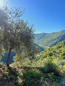 Foto Rustico in Via la posta 12, Pieve di Teco Centro di 120 m² in vendita