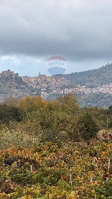Foto Terreno agricolo in Contrada Trimarchisa, Castiglione di Sicilia