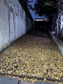 Foto Magazzino a Roma Torre Angela di 164 m² con 1 locali in affitto