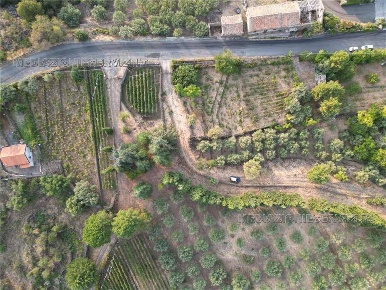 Foto Terreno agricolo in -, Castiglione di Sicilia Solicchiata di 55 m²