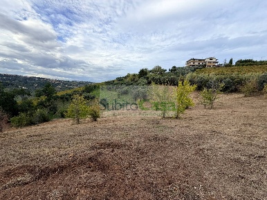 Foto Terreno agricolo a Bucchianico di 7000 m² in vendita