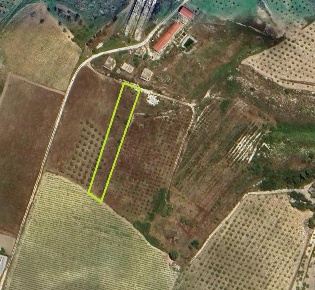 Foto Terreno agricolo in Via ss 115 58, Realmonte di 2490 m² in vendita