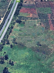 Foto Terreno agricolo a Castelvetrano in vendita