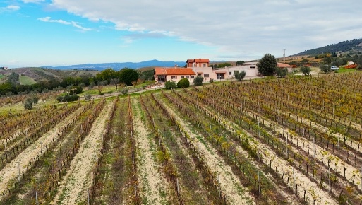 Foto Casa indipendente in Via Pilli snc, Montecchio di 300 m² con 12 locali
