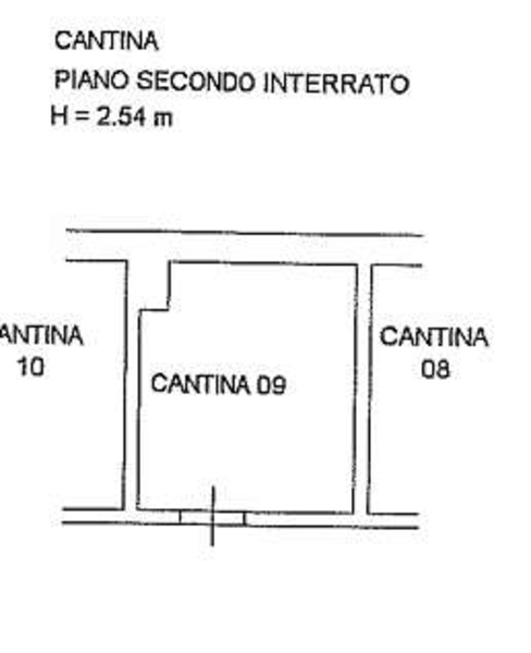 immagine annuncio 9 di 14
