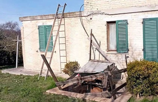 immagine annuncio 9 di 15