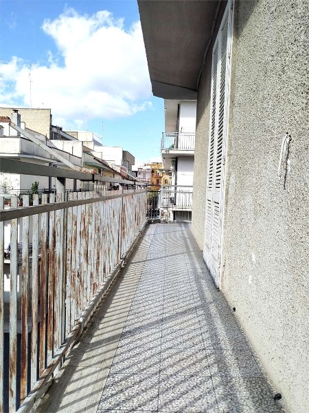 immagine annuncio 10 di 14