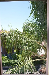 Foto Appartamento a Aci Castello Centro di 120 m² con 4 locali in vendita