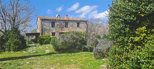 Foto Rustico a Scansano Murci di 3140 m² con 12 locali in vendita