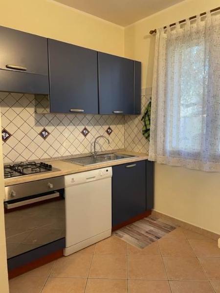 immagine annuncio 6 di 14