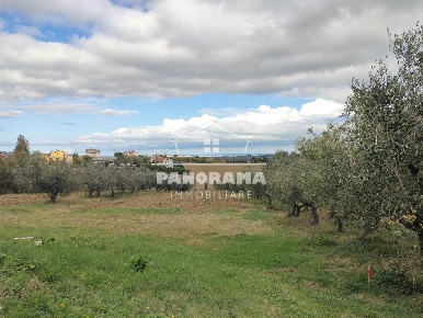 Foto Terreno agricolo a Coriano di 9738 m² in vendita