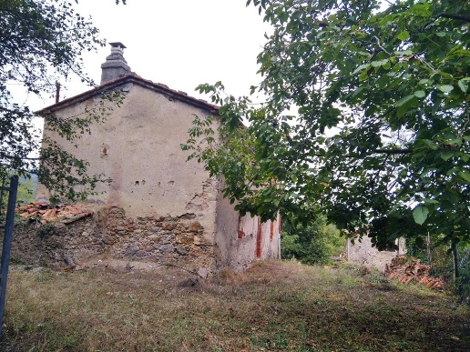 immagine annuncio 1 di 11