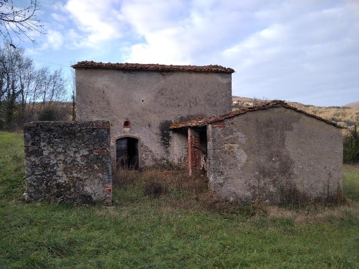 immagine annuncio 6 di 11