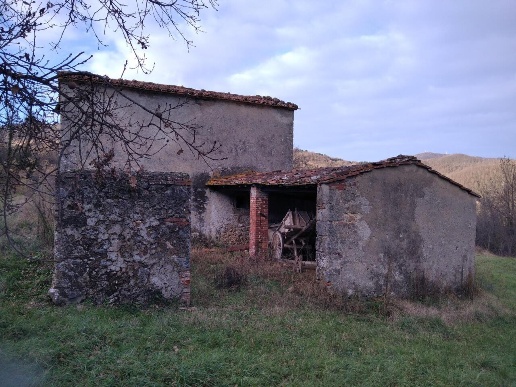 immagine annuncio 7 di 11