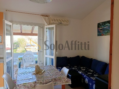 Foto Appartamento a Montemarciano Il Gelso di 35 m² con 2 locali in affitto