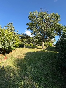 Foto Appartamento a Certaldo Canonica di 264 m² con 8 locali in vendita