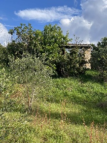 Foto Struttura sanitaria a Arlena di Castro di 40 m² con 2 locali