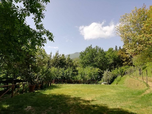 immagine annuncio 11 di 12