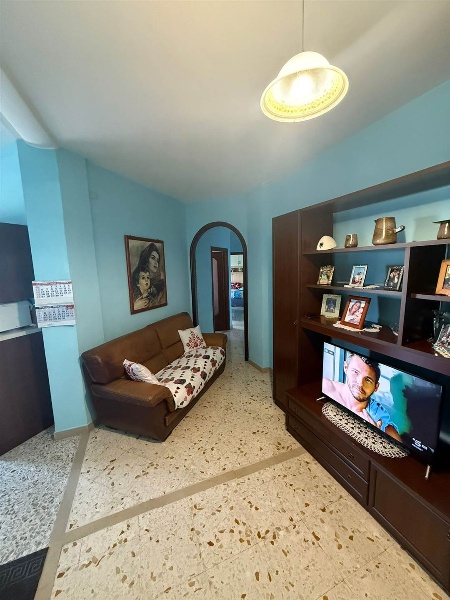 immagine annuncio 6 di 14