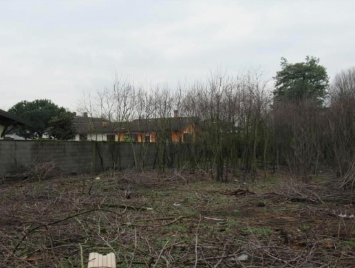 immagine annuncio 5 di 7