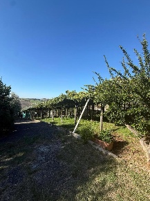Foto Terreno agricolo in Via DELLA GAVACCIA 00, Monterotondo di 5000 m²
