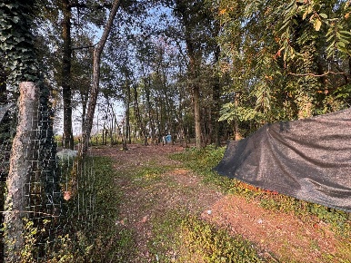 Foto Terreno agricolo in Via biella snc, Legnano di 4100 m² in vendita