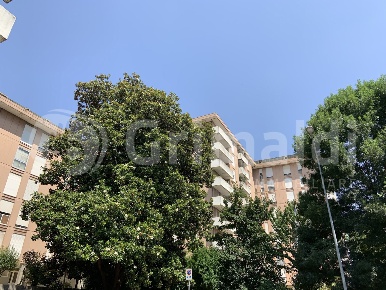 Foto Appartamento in Brigata Padova, Padova San Giuseppe - San Giovanni
