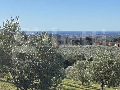 Foto Terreno agricolo in MASSA MARITTIMA, Massa Marittima Valpiana