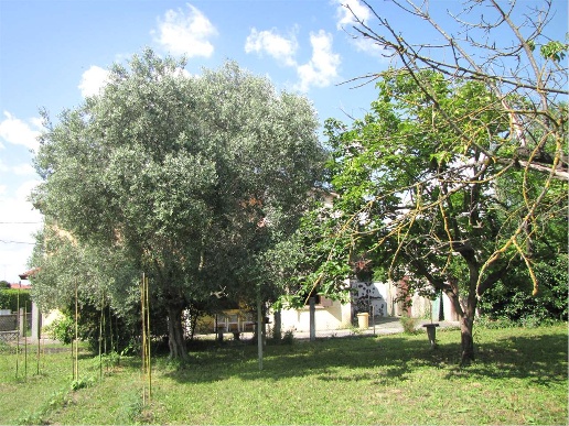 immagine annuncio 6 di 13