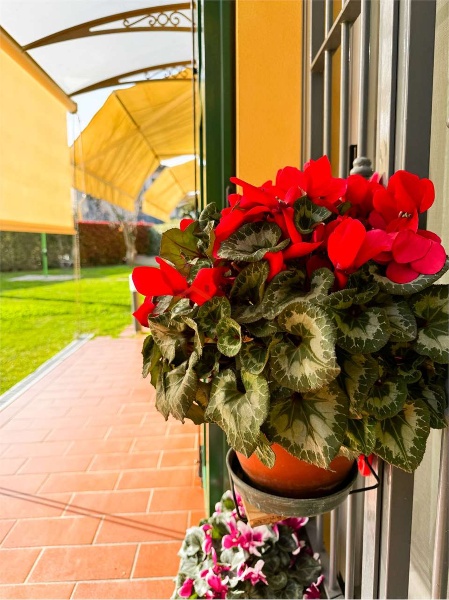 immagine annuncio 13 di 15