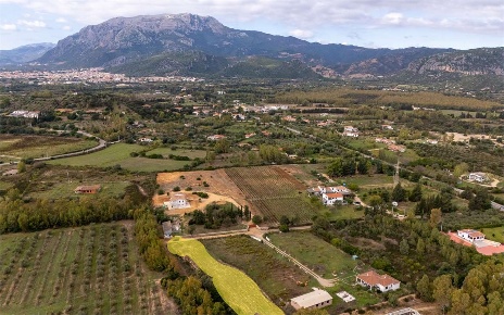 Foto Terreno agricolo a Siniscola di 2080 m² in vendita