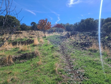 Foto Terreno agricolo in CONTRADA INCHIUSO, Santa Maria di Licodia
