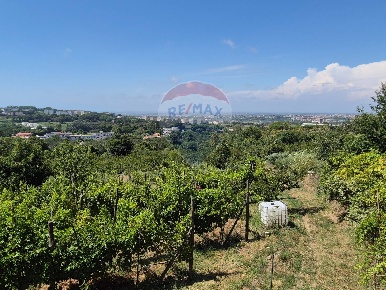 Foto Terreno agricolo in Via Coste Sant'Angelo, Pozzuoli Monterusciello