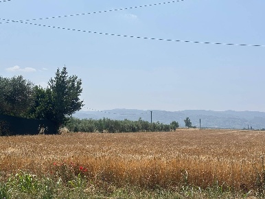 Foto Terreno residenziale a Bastia Umbra di 1040 m² in vendita