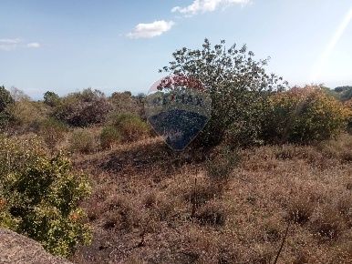 Foto Terreno agricolo in Via Dionisio, Mascalucia Centro di 1500 m²