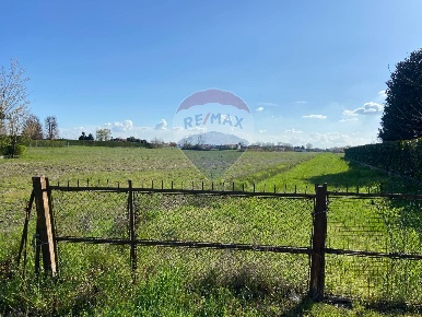 Foto Terreno agricolo in VIA MALGARO, Stra Centro in vendita