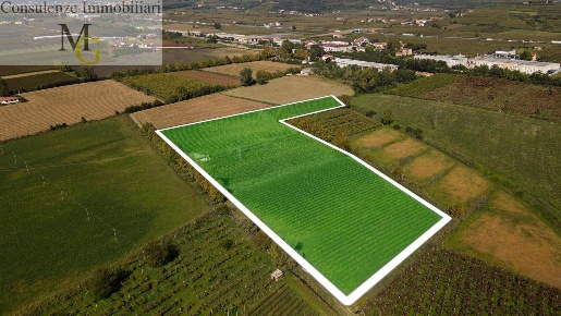 Foto Terreno agricolo a Colognola ai Colli Castelletto di 30000 m²