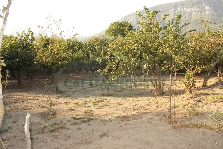 Foto Terreno agricolo in Via Nazionale, Forino Centro di 17000 m²