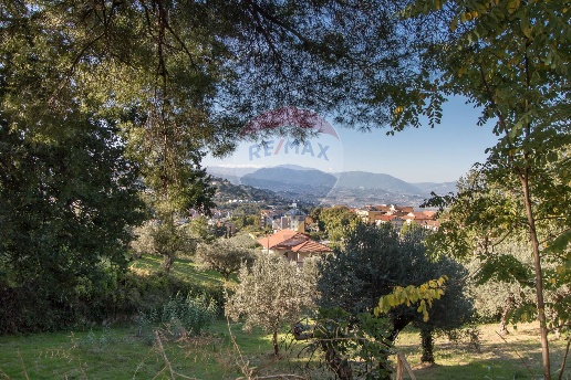immagine annuncio 11 di 14